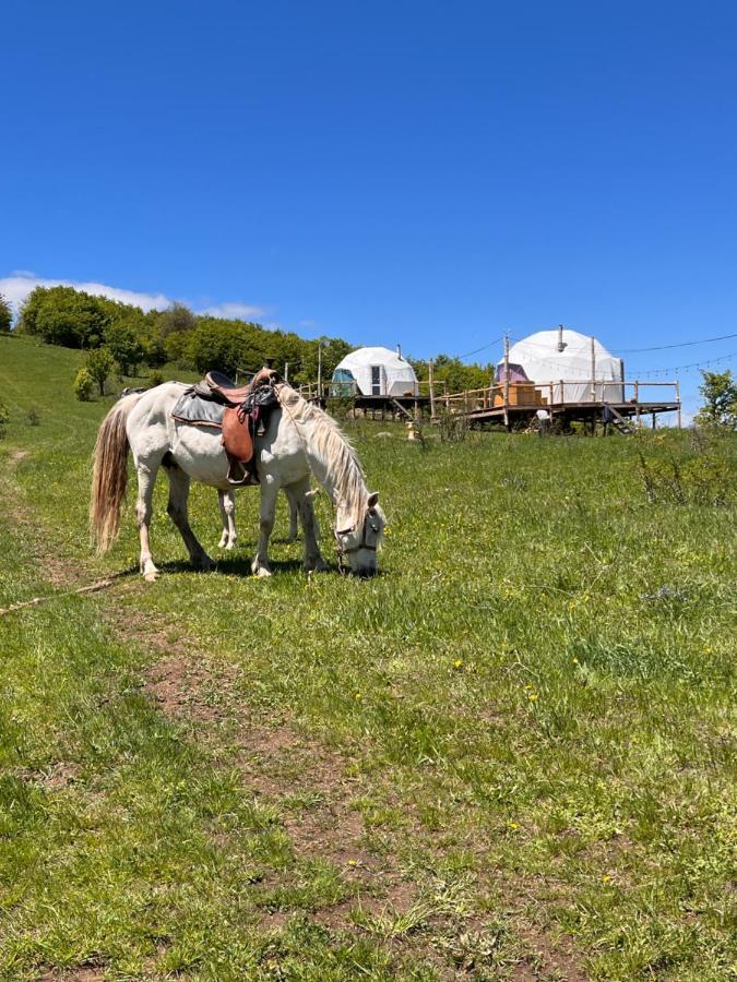 Hotel Glamping Park Shahumyan Exterior foto